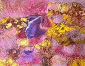 (Galeriebild)