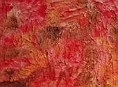 (Galeriebild)